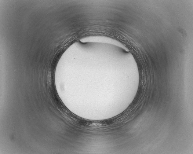 X0000115360562200912011115