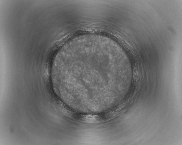 X0000115360566200912011115