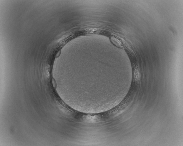 X0000115360570200912011115