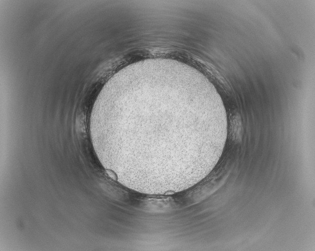 X0000115360571200912011115