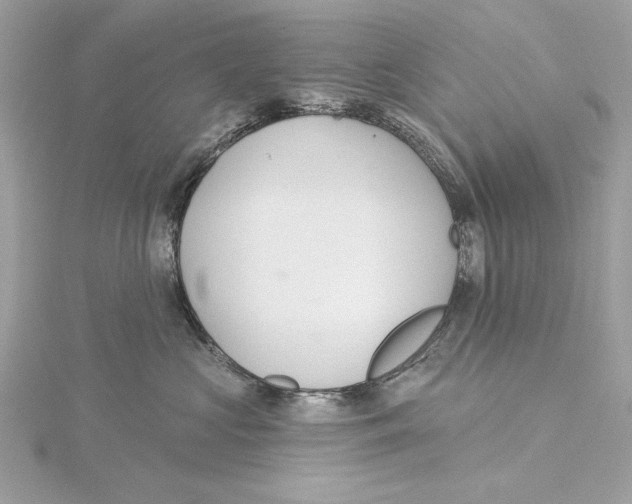 X0000115360573200912011115