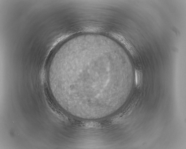 X0000115360579200912011115