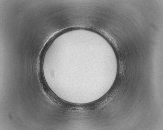 X0000115360580200912011115