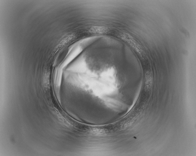 X0000115360585200912011115