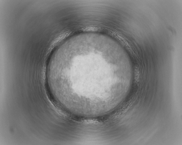 X0000115360586200912011115