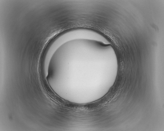 X0000115360587200912011115
