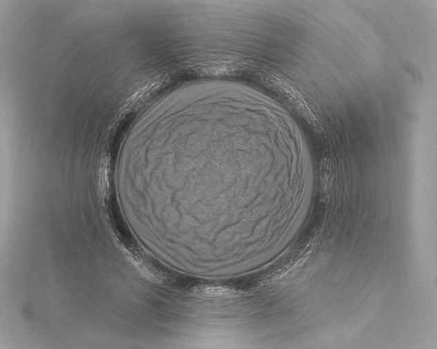 X0000115360590200912011114