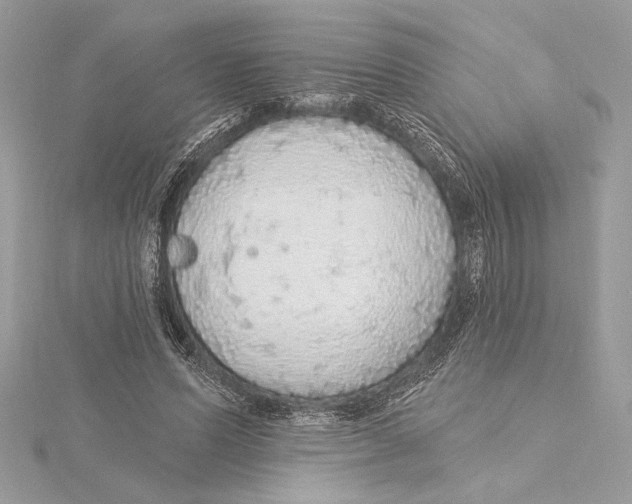 X0000115360591200912011114