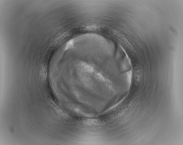 X0000115360593200912011114