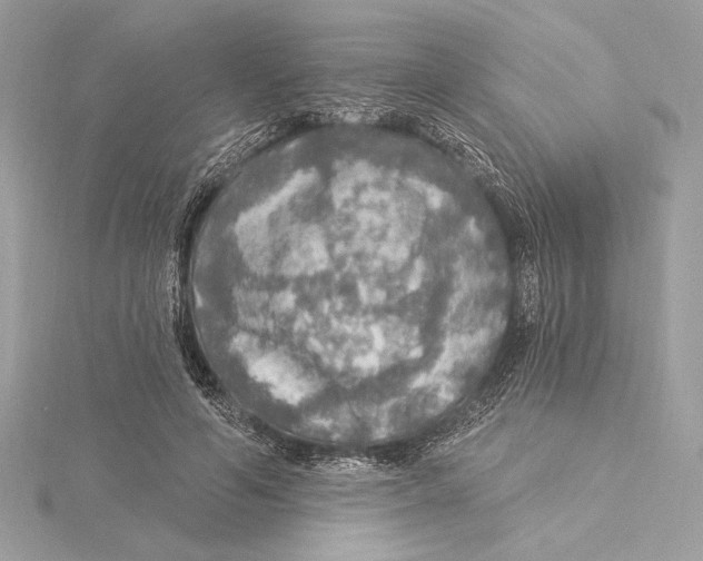 X0000115360594200912011114