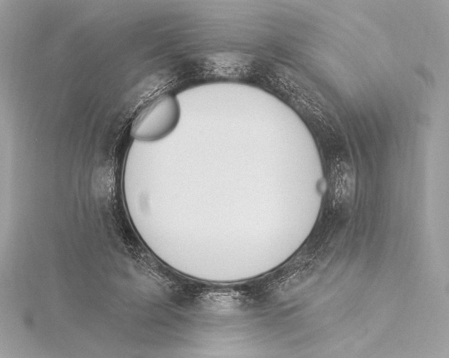 X0000115360595200912011114