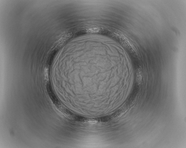 X0000115360598200912011114