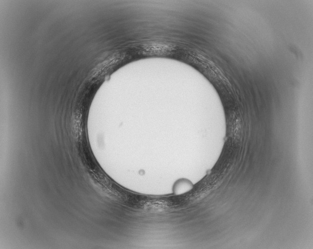 X0000115360599200912011114