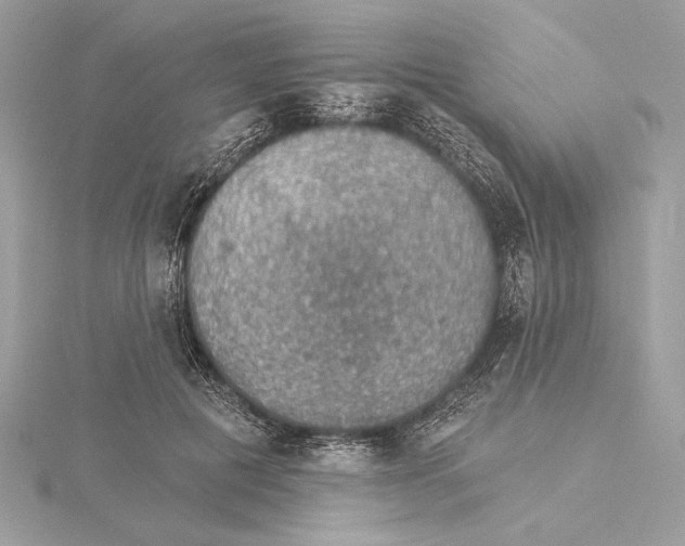 X0000115360601200912011114