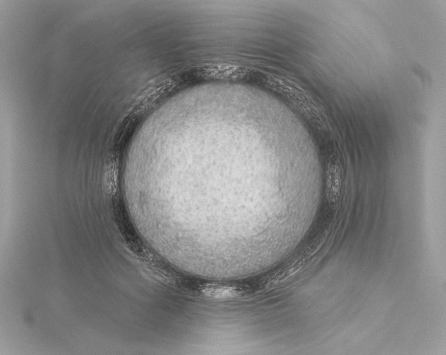 X0000115360602200912011114