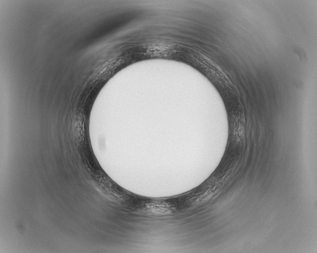 X0000115360603200912011114