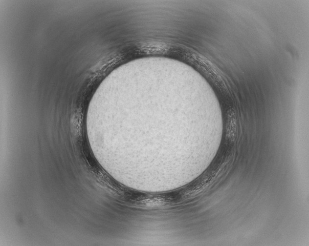 X0000115360604200912011114