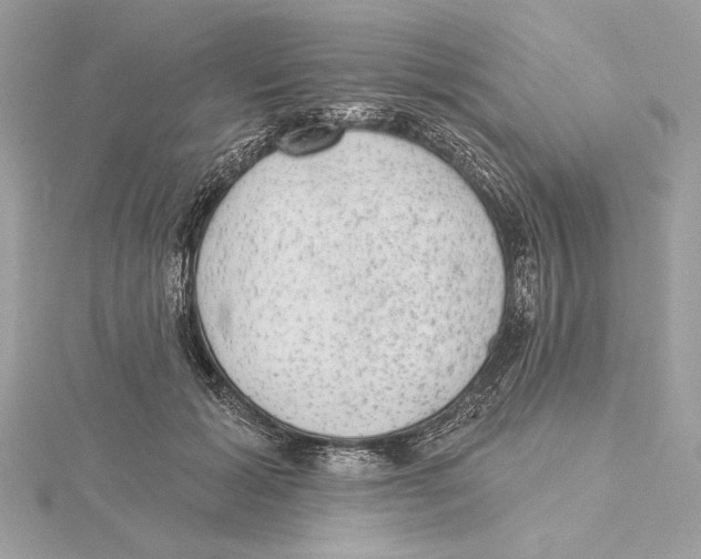 X0000115360605200912011114