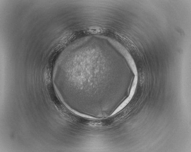 X0000115360606200912011114