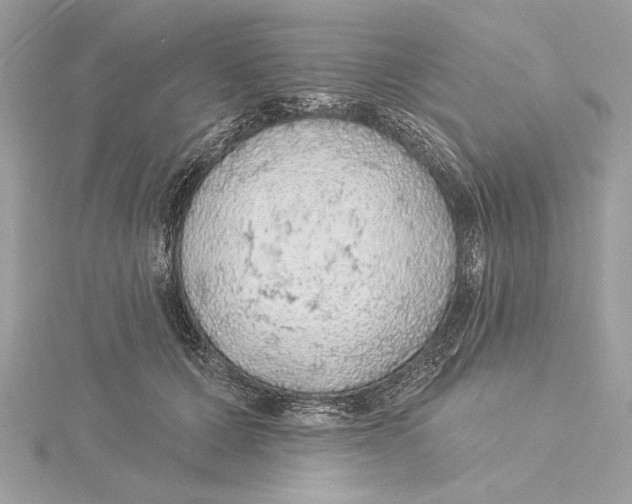 X0000115360607200912011114