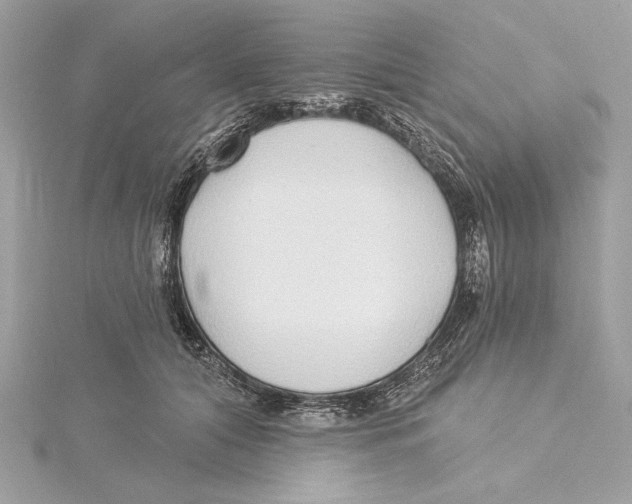 X0000115360608200912011114