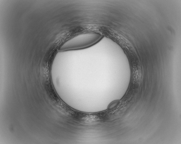X0000115360609200912011114