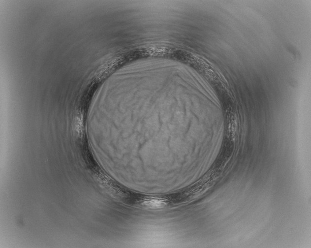 X0000115360610200912011114