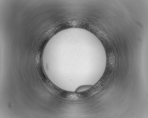 X0000115360611200912011114