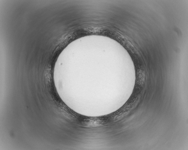 X0000115360612200912011114