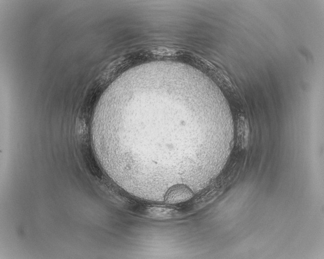 X0000115360614200912011114