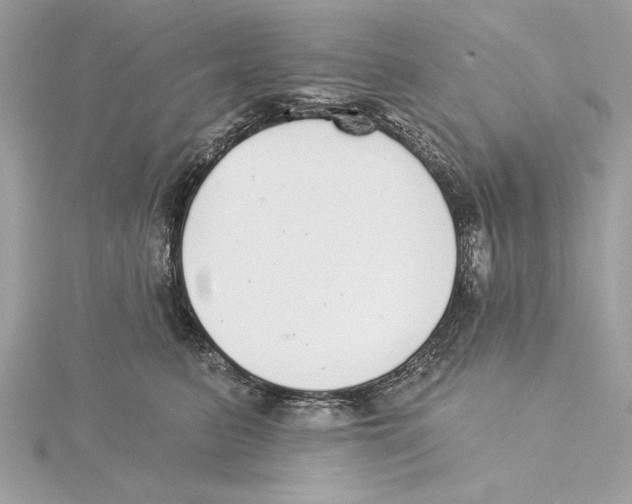 X0000115360615200912011114