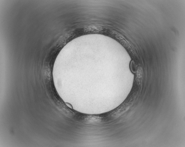 X0000115360617200912011114