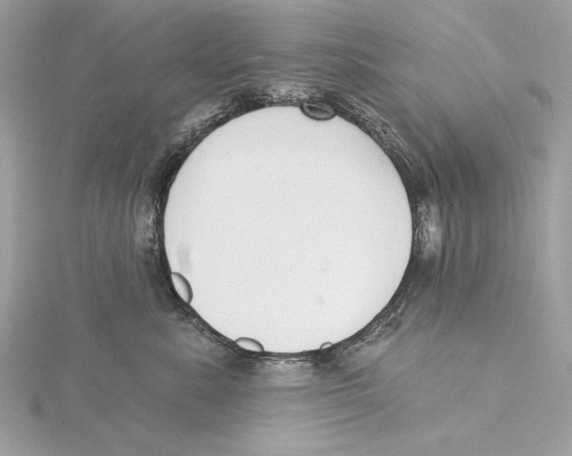 X0000115360619200912011114