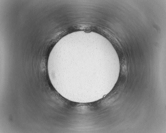 X0000115360620200912011114