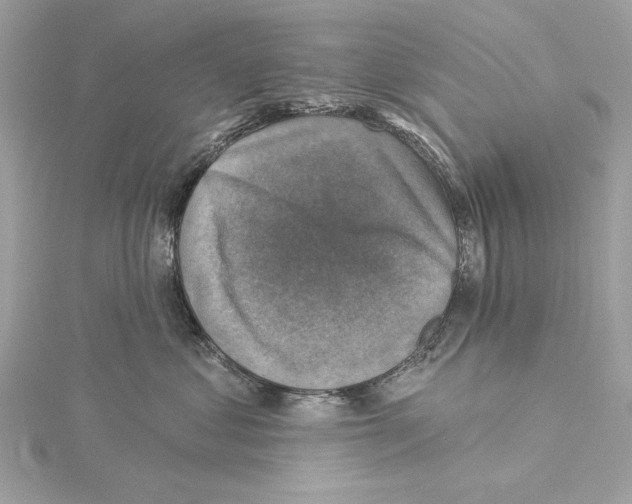 X0000115360621200912011114