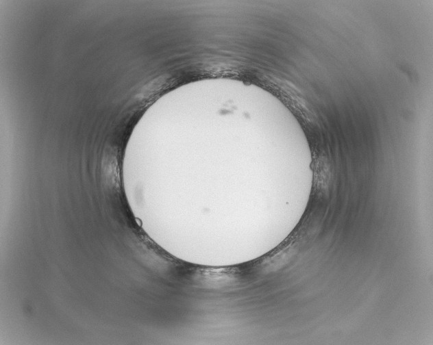 X0000115360622200912011114