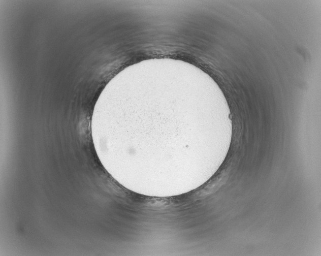 X0000115360624200912011114