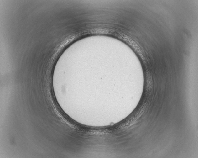 X0000115360625200912011113