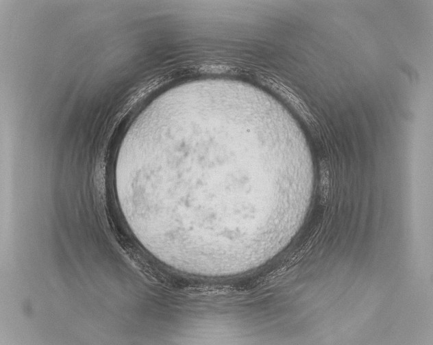 X0000115360626200912011113