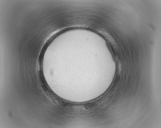 X0000115360628200912011113