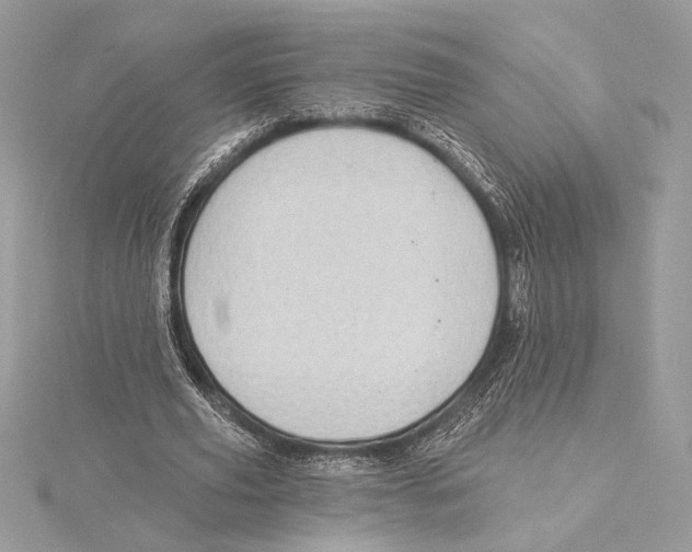 X0000115360629200912011113