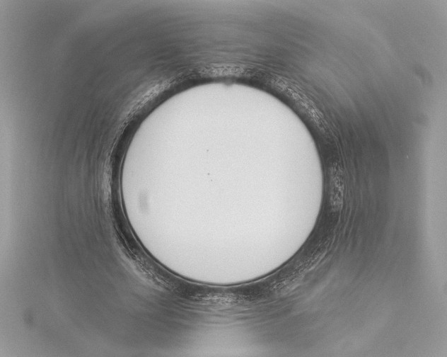 X0000115360631200912011114