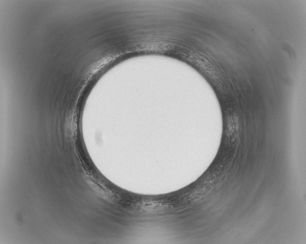 X0000115360632200912011114