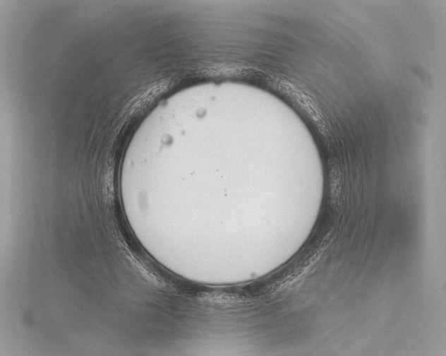 X0000115360633200912011114