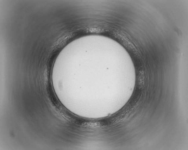 X0000115360639200912011114