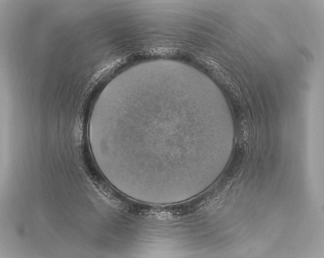 X0000115360640200912011114