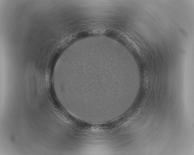 X0000115360641200912011114