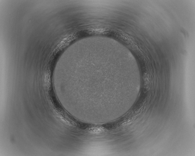 X0000115360642200912011114