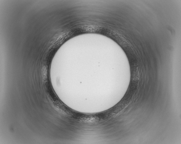 X0000115360646200912011114