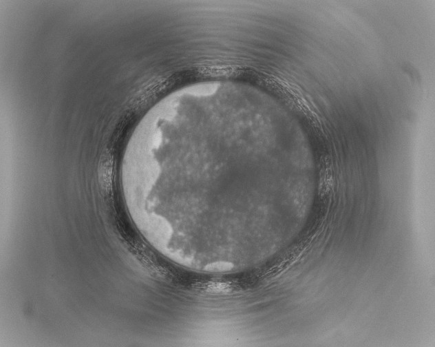 X0000115360647200912011114